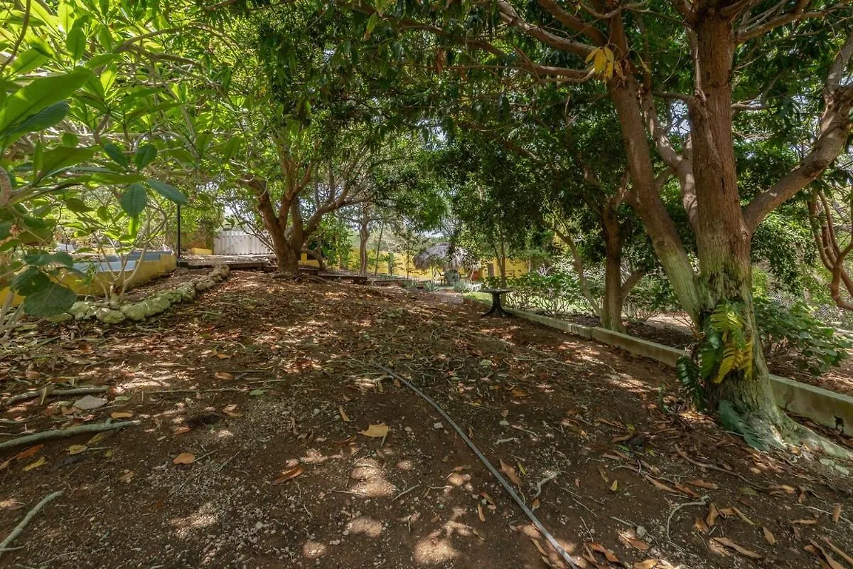 Villa Cas Grandi, Curacao Willemstad